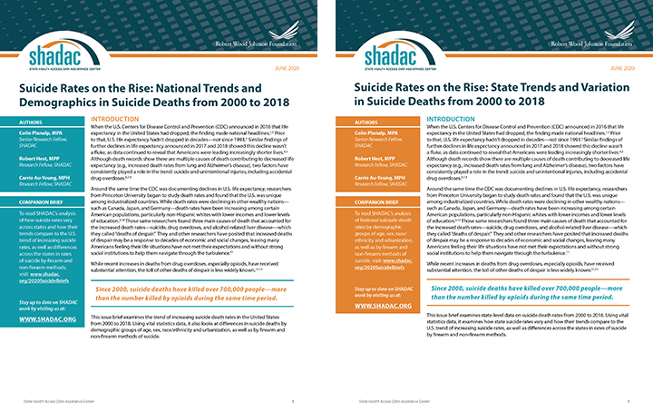 Suicide rates in the US briefs on data from 2000 to 2018 with trends by state, subgroups, and subpopulations discussed. 